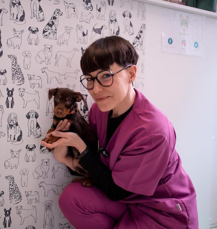 servicio asesoramiento nutricional para perros